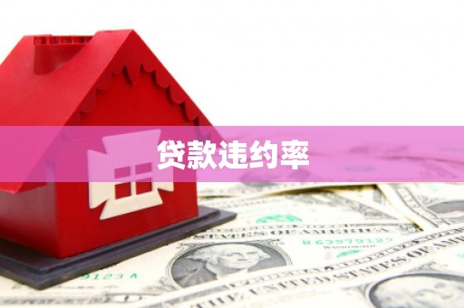 板芙贷款违约率