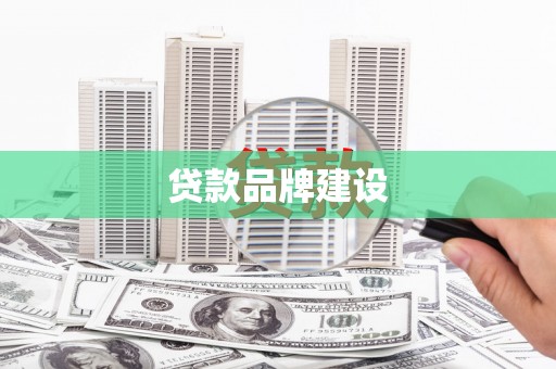 板芙贷款品牌建设