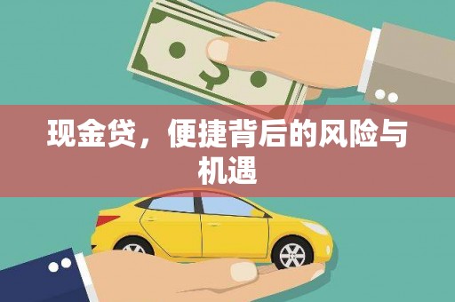 板芙现金贷，便捷背后的风险与机遇