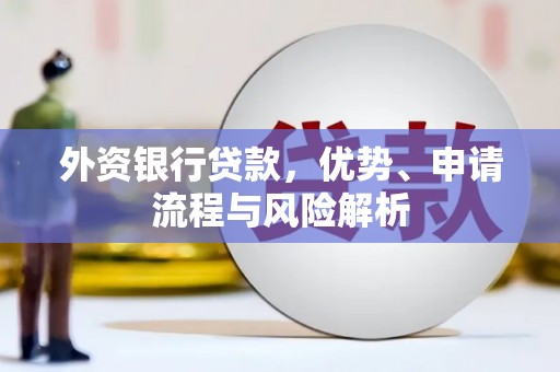 板芙外资银行贷款，优势、申请流程与风险解析