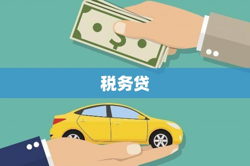 板芙税务贷