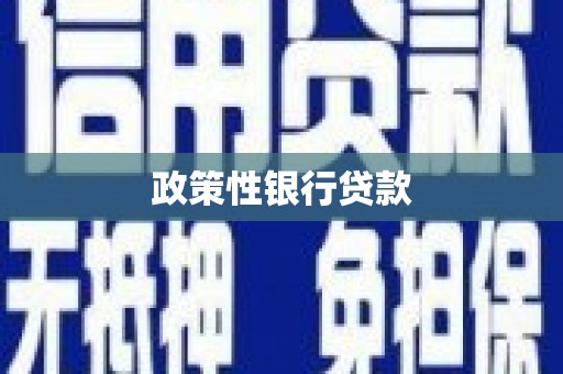 板芙政策性银行贷款