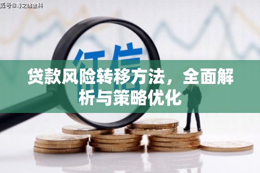板芙贷款风险转移方法，全面解析与策略优化