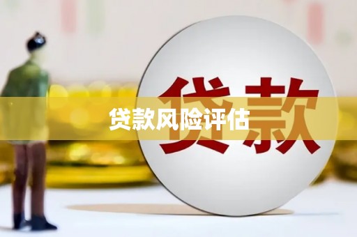 板芙贷款风险评估