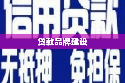 板芙贷款品牌建设