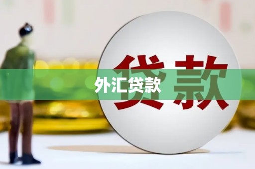板芙外汇贷款
