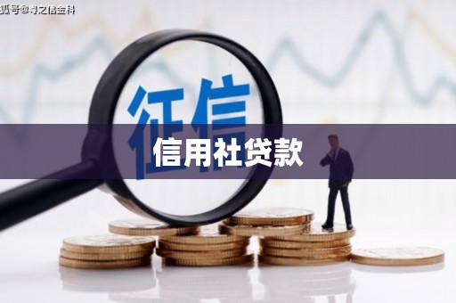 板芙信用社贷款