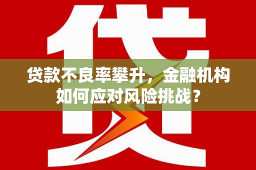板芙贷款不良率攀升，金融机构如何应对风险挑战？