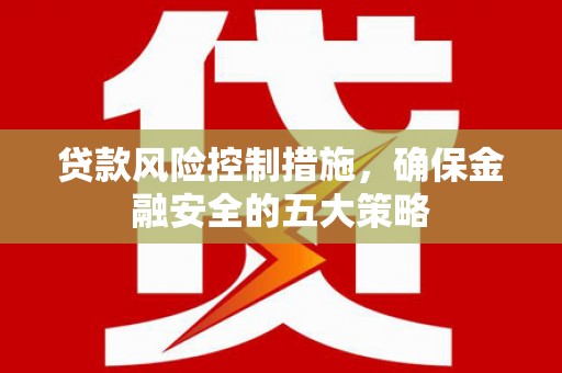 板芙贷款风险控制措施，确保金融安全的五大策略