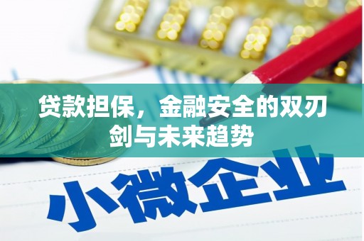 板芙贷款担保，金融安全的双刃剑与未来趋势