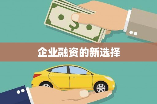 板芙企业融资的新选择