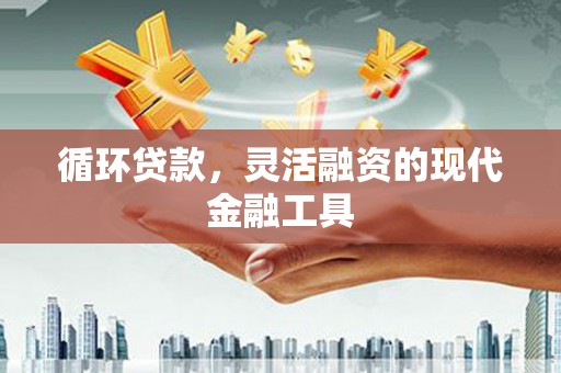 板芙循环贷款，灵活融资的现代金融工具
