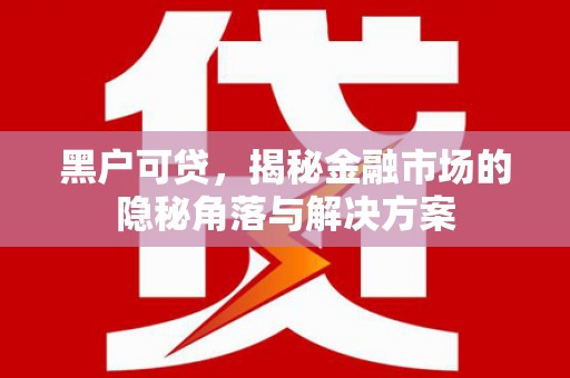 板芙黑户可贷，揭秘金融市场的隐秘角落与解决方案