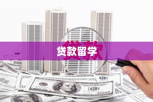 板芙贷款留学