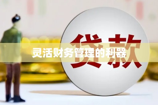 板芙灵活财务管理的利器