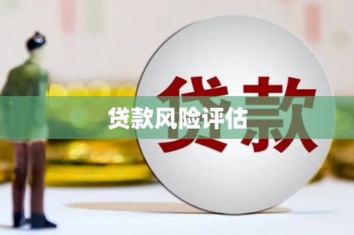 板芙贷款风险评估