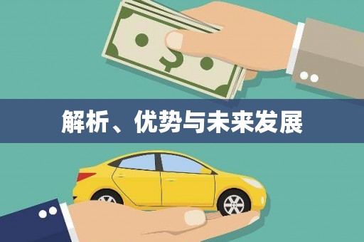板芙解析、优势与未来发展