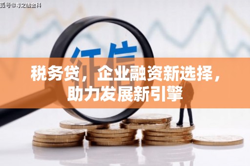 板芙税务贷，企业融资新选择，助力发展新引擎