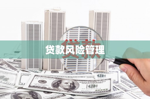 板芙贷款风险管理