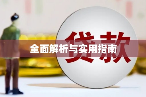 板芙全面解析与实用指南
