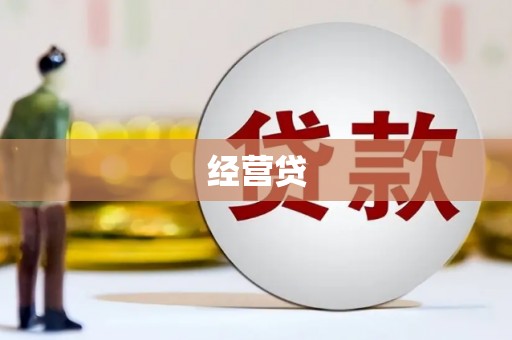 板芙经营贷