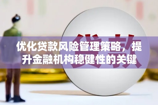 板芙优化贷款风险管理策略，提升金融机构稳健性的关键