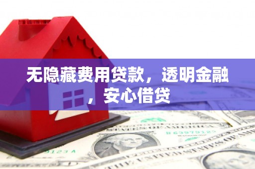 板芙无隐藏费用贷款，透明金融，安心借贷