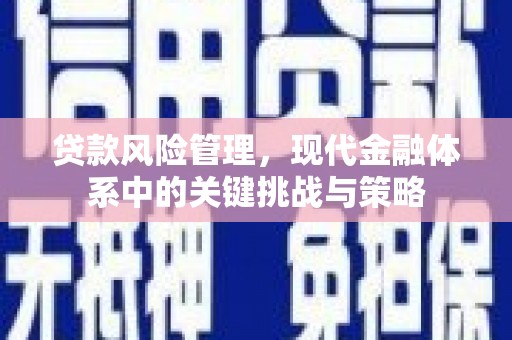 板芙贷款风险管理，现代金融体系中的关键挑战与策略