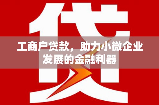 板芙工商户贷款，助力小微企业发展的金融利器
