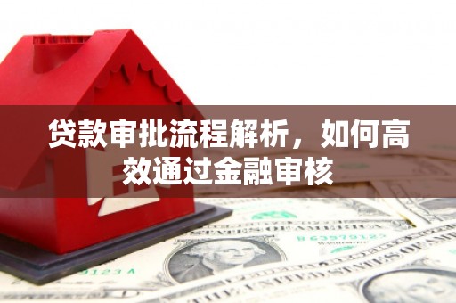 板芙贷款审批流程解析，如何高效通过金融审核