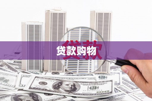 板芙贷款购物