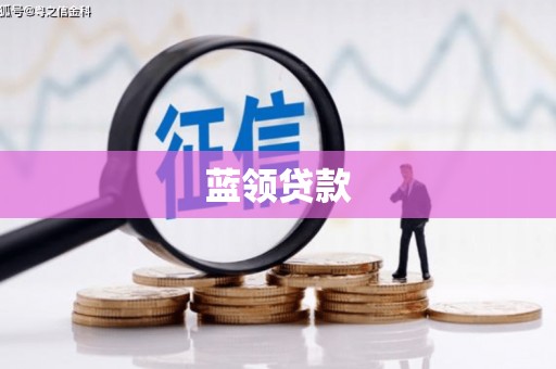 板芙蓝领贷款