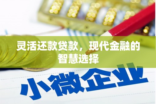 板芙灵活还款贷款，现代金融的智慧选择