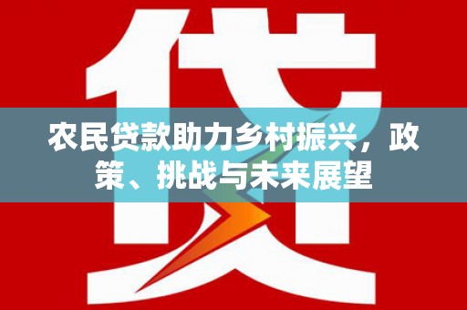 板芙农民贷款助力乡村振兴，政策、挑战与未来展望