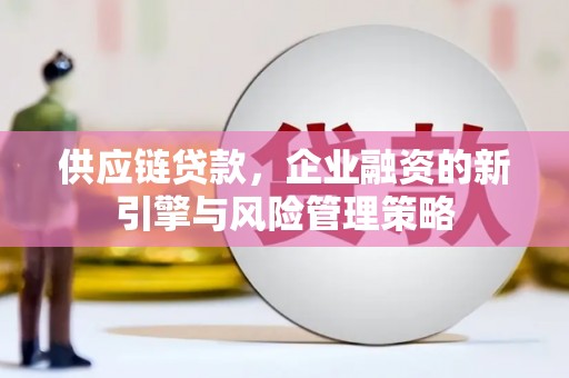 板芙供应链贷款，企业融资的新引擎与风险管理策略