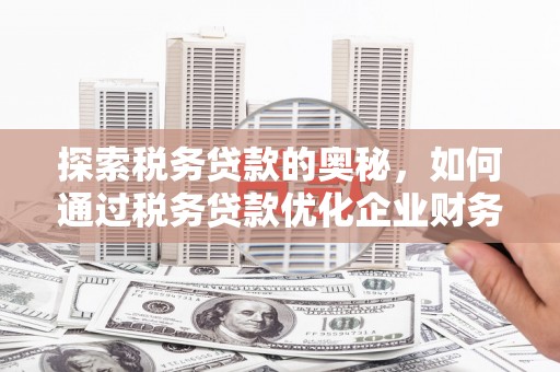 板芙探索税务贷款的奥秘，如何通过税务贷款优化企业财务