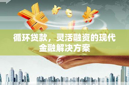 板芙循环贷款，灵活融资的现代金融解决方案