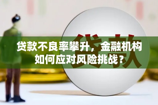 板芙贷款不良率攀升，金融机构如何应对风险挑战？