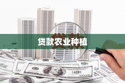 板芙贷款农业种植