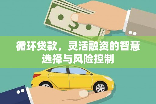 板芙循环贷款，灵活融资的智慧选择与风险控制
