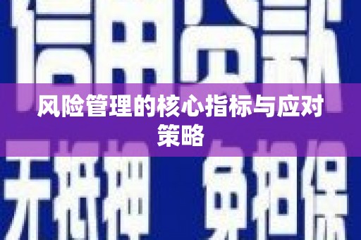 板芙风险管理的核心指标与应对策略