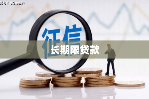 板芙长期限贷款
