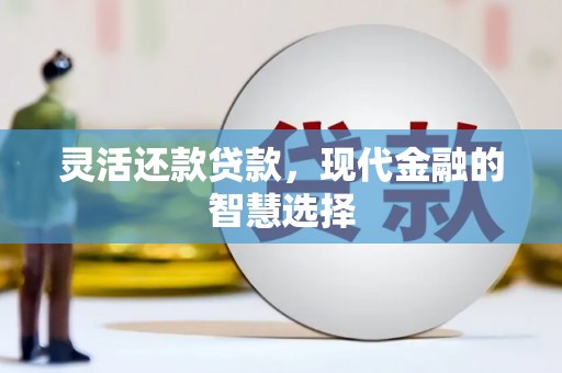 板芙灵活还款贷款，现代金融的智慧选择