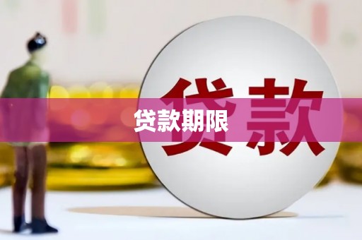 板芙贷款期限