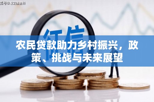 板芙农民贷款助力乡村振兴，政策、挑战与未来展望