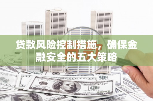 板芙贷款风险控制措施，确保金融安全的五大策略