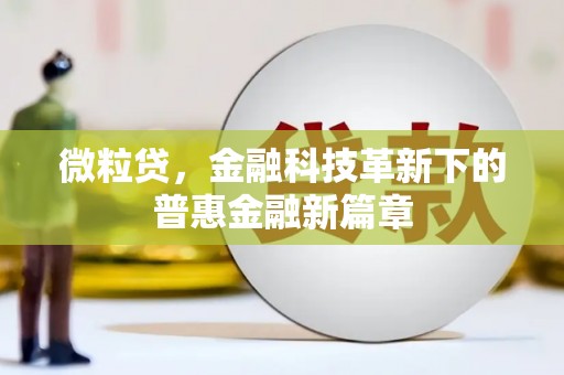 板芙微粒贷，金融科技革新下的普惠金融新篇章