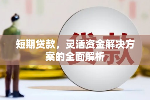 板芙短期贷款，灵活资金解决方案的全面解析