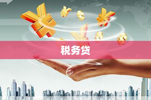 板芙税务贷