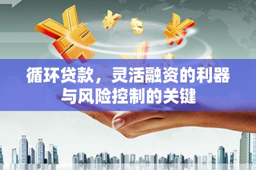 板芙循环贷款，灵活融资的利器与风险控制的关键